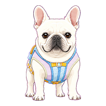 Frenchie Office Buddy 桌宠